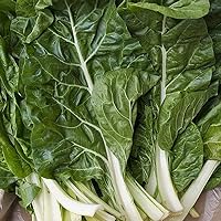 Fordhook Giant Swiss Chard Seeds - 50 Count Seed Pack - Non-GMO - A Standard Green Swiss Chard with Thick, Tender savoyed Leaves and a Slightly Bitter, Earthy Flavor. - Country Creek LLC