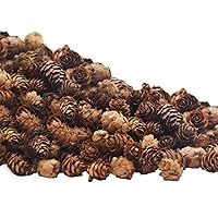 JOHOUSE 200PCS Natural Mini Pine Cones,Natural Pine Cones Christmas Pine  Cones PineCones Ornaments for Autumn and Winter Decor Christmas Decorations