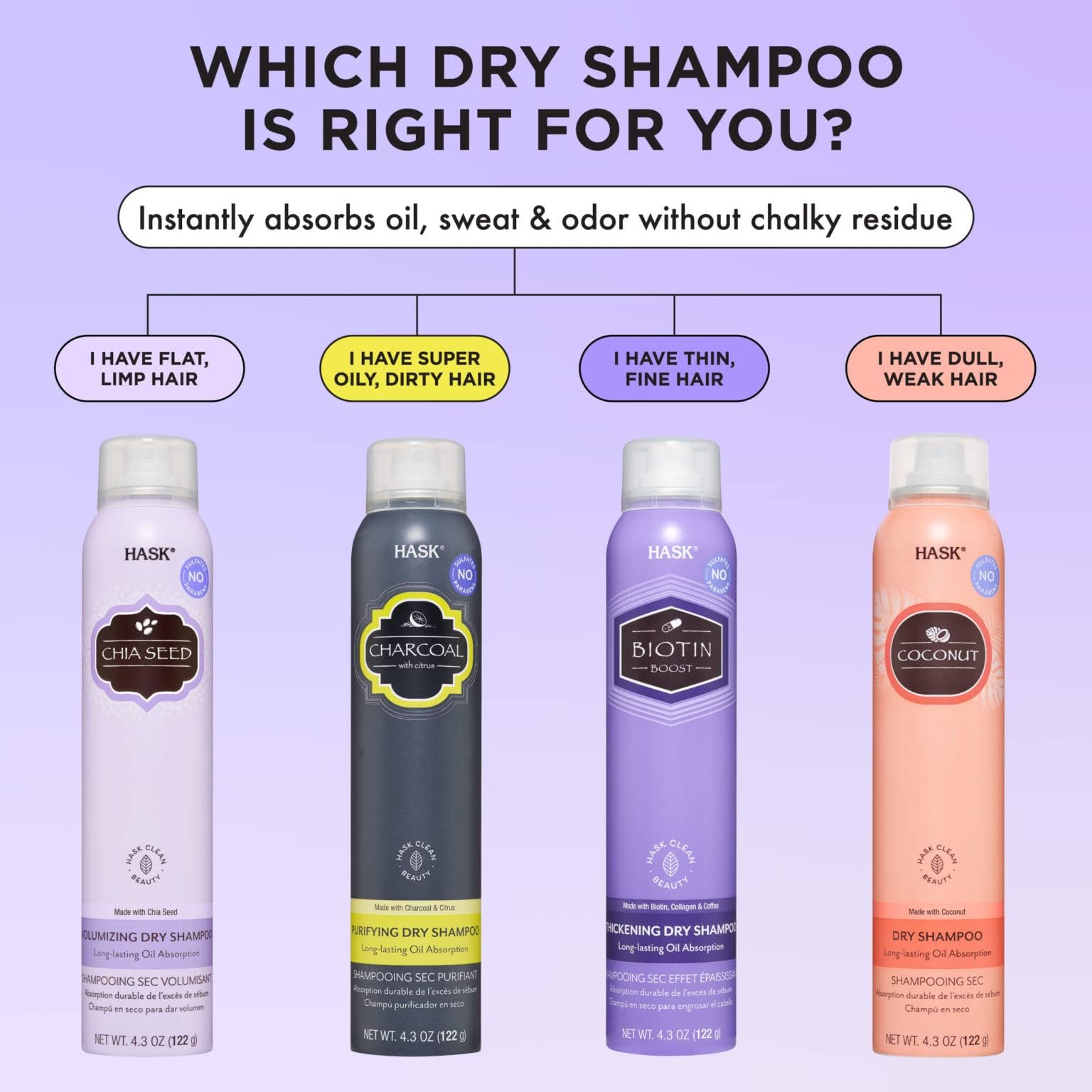 HASK Dry Shampoo Sampler Set: 1 each Chia Seed Dry Shampoo and Charcoal Clarifying Dry Shampoo 4.3oz cans