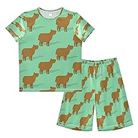 Boy's Summer Shorts Sets Capybara Hawaiian Shirt Sets Funny Animal Kids Button Down Short Shirt & Pants 2 Pcs XS