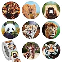 Mua animals sticker chính hãng giá tốt tháng 1, 2023 