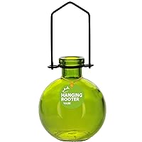 M370-6544G01 Hanging Ball Recycled Glass Rooting Vase, 7