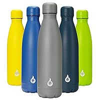 BJPKPK Insulated Water Bottle 17oz Stainless Steel Water Bottles Dishwasher Safe Sports Water Bottles-Gray