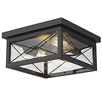 Emliviar 12 Inch Ceiling Light Fixture, 2-Light Flush Mount Ceiling Light in Black Finish, 0387B-CL BK
