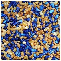 250g, Shell Shaped Mosaic Tiles Creative Mosaic Stones 25 Colors Optional DIY Mosaic Making Crafts Scrapbooking Embellishment for Crafts Bulk (Color : Champagne)