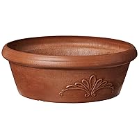 Garden Products PSW Pot TA25TC Collection Shallow Bulb Pan Planter Dish Low Bowl for Succulents, Bonsai, Fairy Gardens, Herbs, 10-inch, Terra Cotta Color, 10