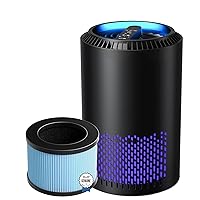 Air Purifiers(Black) for Home with Two H13 HEPA Air Filter(One Basic Version & One Standard Version) For Smoke Pollen Dander Hair Smell In Bedroom Office Living Room and Kitchen