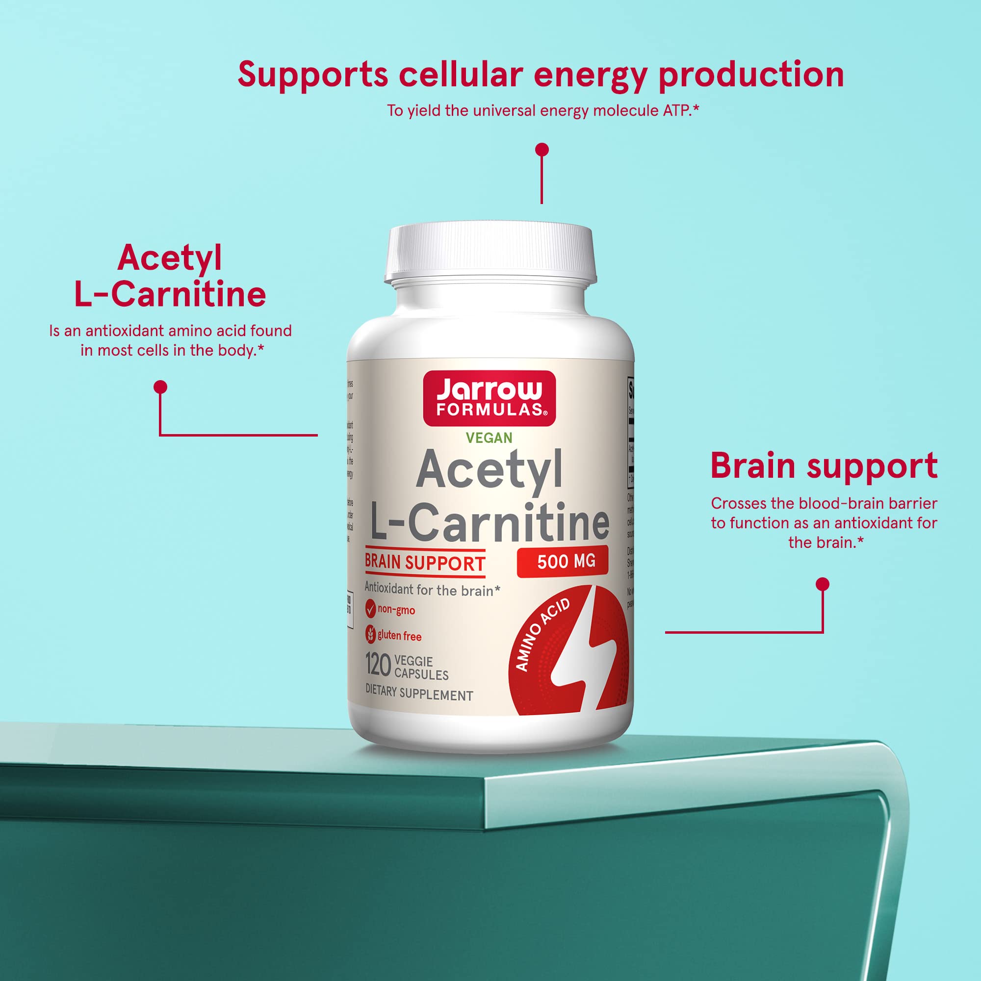 Jarrow Formulas Acetyl L-Carnitine 500 mg - Antioxidant Protection for the Brain - Supports Energy Production & Metabolism - Heart & Cardiovascular Health - 120 Veggie Capsules (PACKAGING MAY VARY)