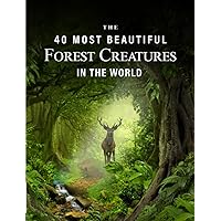 The 40 Most Beautiful Forest Creatures in the World: A full color picture book for Seniors with Alzheimer's or Dementia (The 