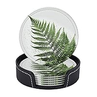 6 Pcs Natural Plant Silhouette Fern Leaf Drink Coasters with Holder Leather Coaster Coffee Cup Pad Drinking Cup Mat Set Coffee Table Drinks Coasters for Modern Home Decor,4 Inches
