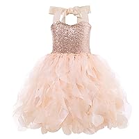 Tutu Dress for Girls Sparkly Sequin Tulle Princess Birthday Party Prom Outfit Toddler Girls Sneaker Ball Gown Dresses