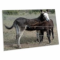 3dRose Roni Chastain Animals - Nursing Donkey, mom and Baby - Desk Pad Place Mats (dpd-112663-1)