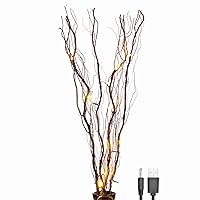 Upgraded 36Inch 16LED Natural Willow Twig Lighted Branch for Home Decoration, USB Plug-in and Battery Powered