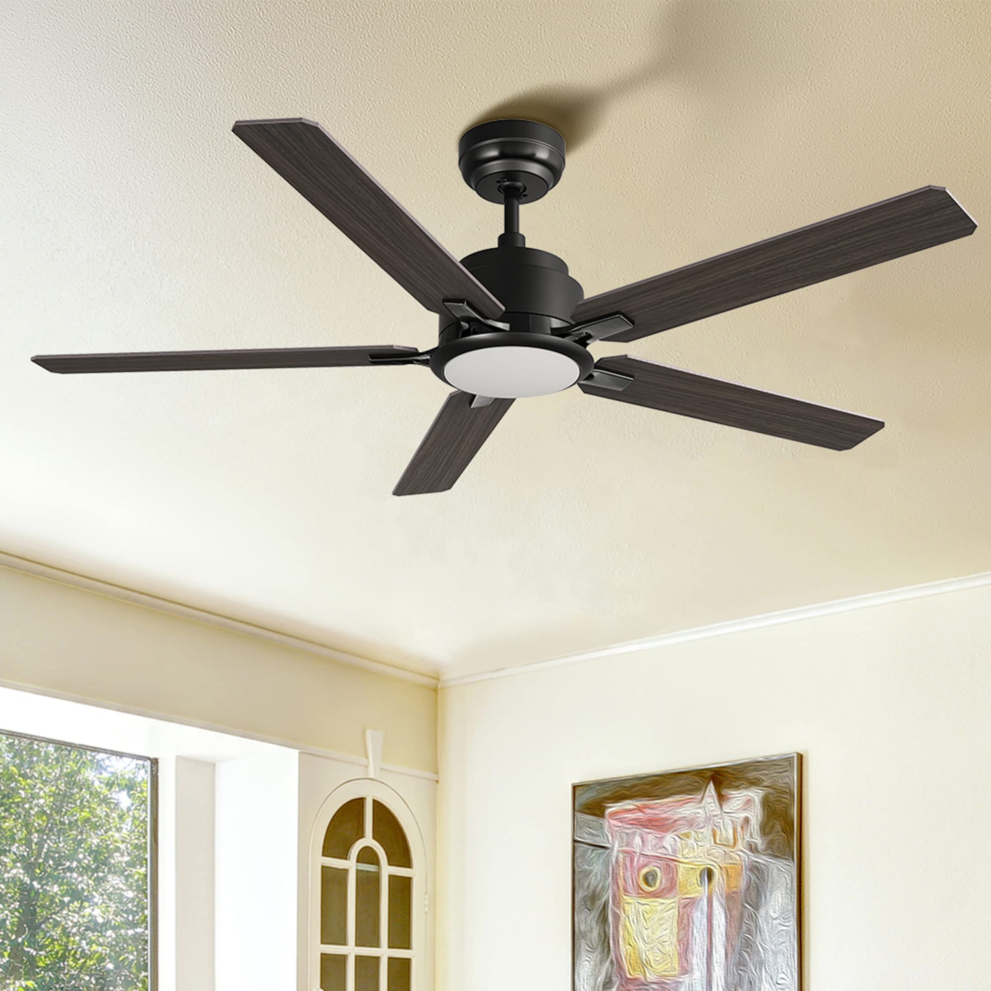 CEME Smart Ceiling Fan with Lights, Indoor & Outdoor Ceiling Fan with Remote, 10 Speeds Smart Ceiling Fan Works with Alexa, Siri & Google, 52 Inch Modern Ceiling Fan with DC Motor, Black Ceiling Fan