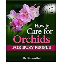How To Care For Orchids