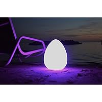 Genesis: 12 Inch Color Changing LED Light Egg; Wireless, Rechargeable Medium Sized Indoor Outdoor Accent Light - Up to 20 Hours of Ambient Light