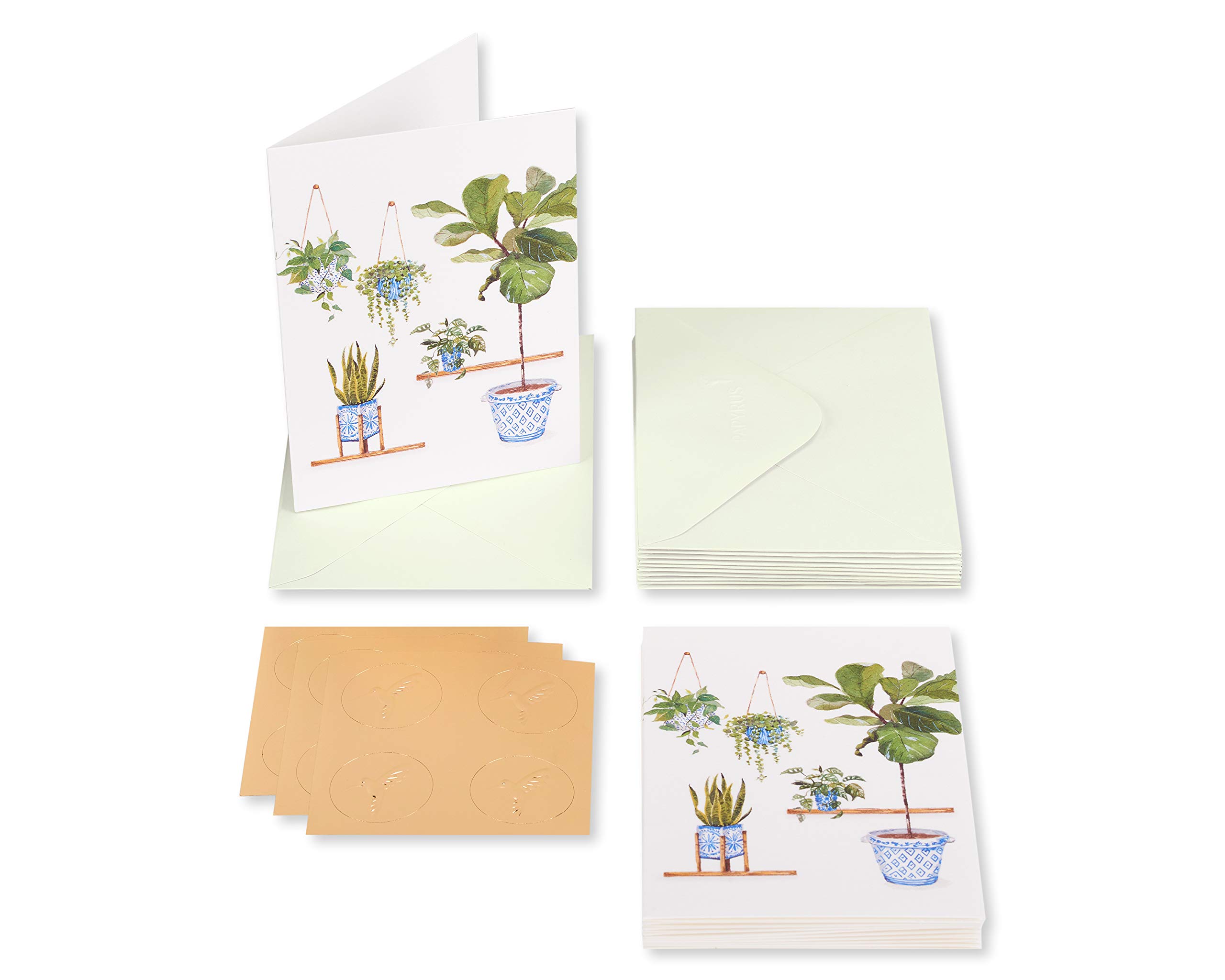 Papyrus Blank Cards with Envelopes, Indoor Garden (14-Count)