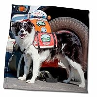 3dRose Border Collie Search and Rescue Dog Beside Rescue Vehicle - Towels (twl-230342-3)