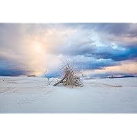 Desert Photography Print (Not Framed) Picture of Dead Tree in Sand Under Dramatic Sky at White Sands National Park New Mexico Southwest Wall Art Nature Decor (8