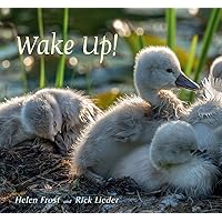 Wake Up! (Step Gently, Look Closely) Wake Up! (Step Gently, Look Closely) Hardcover