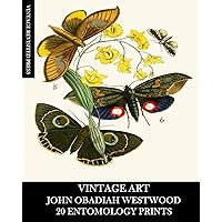 Vintage Art: John Obadiah Westwood 20 Entomology Prints: Fauna and Flora Ephemera for Framing, Collage and Decoupage