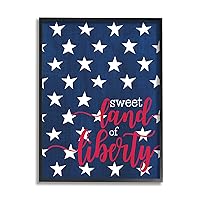 Sweet Land Of Liberty Americana Framed Wall Art, Design by Alli Rogosich
