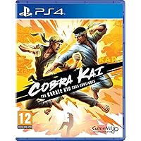 Cobra Kai: The Karate Saga Continues (PS4)