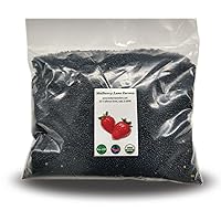 Black Beluga Lentils 5 Pounds Whole USDA Certified Organic, Non-GMO Bulk, Product of USA, Mulberry Lane Farms