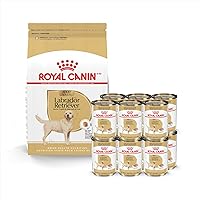 Royal Canin Breed Health Labrador Retriever Adult Dry Dog Food, 30 lb Bag Breed Health Labrador Retriever Loaf in Sauce Canned Dog Food, 13.5 oz can (12-Count)
