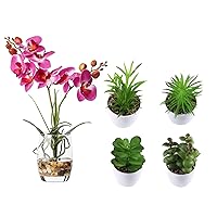 Jusdreen 4-Piece Set Mini Artificial Succulent Plants in Pots, Artificial Flower Bonsai with Glass Vase Orchid Flowers for Home Office Desk Decorations