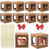 Sliner 100 Sets 4 x 4 x 4 Inch Kraft Candy Apple Boxes with Holes Candy Apple Sticks Caramel Apple Boxes Apple Container Chocolate Apple Gift Box with Clear Window for Autumn Christmas (Kraft Color)