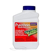 PYRETHRIN Bonide GARDEN INSECT SPRAY Concentrate 16 oz