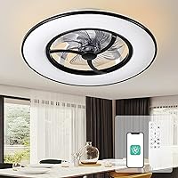 Orison Ceiling Fans with Lights,23 in Bladeless Ceiling Fan with Dimmable LED,Timing with Remote Control,3 Light Color and 6 speeds 8 Reversible Blades for Adult Kids Living Room Bedroom