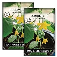 Sow Right Seeds - Spacemaster Cucumber Seeds for Planting - Non-GMO Heirloom Packet with Instructions to Grow an Outdoor Home Vegetable Garden - Compact Bush Cucumbers - Great for Containers (2)