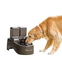 PetSafe Drinkwell Outdoor Dog Water Fountain, Pet Drinking Fountain, 450 oz Capacity Water Dispenser,gray