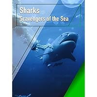 Sharks - Scavengers of the Sea