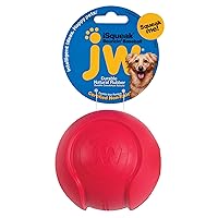 JW Pet Company iSqueak Bouncin' Baseball Dog Toy, Large (Colors Vary), multi (40037)