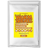 2oz Dried Mealworms for Chickens Wild Birds-High Protein Meal Worms Treats, Non-GMO Feed Food for Poultry Flock, Wild Birds