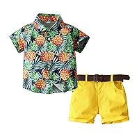 Fashion Baby Summer Toddler Kids Baby Boy Pineapple Clothes Sets Short Sleeve Shirt Tops Baby Boy (Green-c, 2-3 Years)