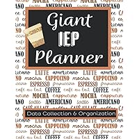 Giant IEP Planner | Lesson Planning | Progress Monitoring | Resource Room Teacher Book | Special Education Service Log Tracker: Data Collection & ... | Large Space To Write In | 8.5 x 11 inches