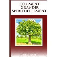 COMMENT GRANDIR SPIRITUELLEMENT (French Edition)