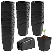 100 Pack 3 Inch Black Square Nursery Pot, Durable Thickened Plastic Nursery Pots with Drain Holes, Small Square Planting Containers for Flower Tomatoes Basil