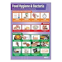 Daydream Education Food Hygiene & Bacteria Poster - Laminated - LARGE FORMAT 33” x 23.5” - Design Technology Classroom Decoration - Bulletin Banner Charts