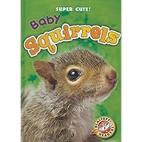 Baby Squirrels (Super Cute!) Baby Squirrels (Super Cute!) Library Binding