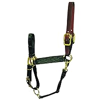 Hamilton 1-Inch Nylon Adjustable Horse Halter with Leather Head Poll and Throat Snap, Large, Black