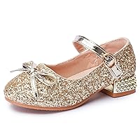 Girls Mary Jane Glitter Shoes Low Heel Princess Flower Wedding Party Dress Pump Shoes Flats for Kids Toddler