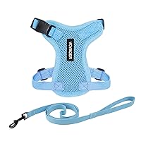 Voyager Step-in Lock Adjustable Cat Harness w. Cat Leash Combo Set with Neoprene Handle 5ft - Supports Small, Medium and Large Breed Cats by Best Pet Supplies - Baby Blue, S