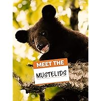 Meet the Mustelids