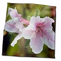3dRose Macro Photograph of Pink Azaleas with a Plastic wrap Effect. - Towels (twl-312240-3)