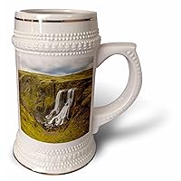3dRose Iceland. View of Fagrifoss waterfall on road to the Laki... - 22oz Stein Mug (stn-366480-1)